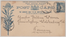 Australien, 1895, New Soth Wales, GS nach Woldenberg