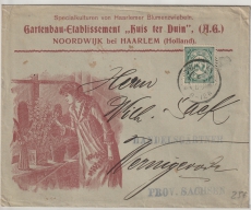 Niederlande, ca. 1905, Hochdekorativer Werbeumschlag (Gartenbau) nach Wernigerode