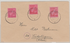 SBZ, MVP, 1946, Mi.- Nrn.: 11 xa (2x) + 11xb in MiF auf Fernbrief von Rerik nach Süderlügum