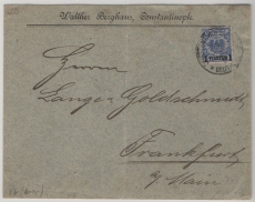 DAP Türkei, 1898, Mi.- Nr.: 8 d, als EF auf Fernbrief von Constantinopel nach Schötmar, geprüft Wiegand BPP!