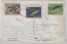Nord- Korea, 1963, 25 Ch. MiF auf Auslands- Bildpostkarte von Pyongyang nach Berlin (D.)