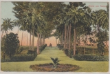 Samoa, Ansichtskarte, ungelaufen, mit Plantagen- / Gartenansicht