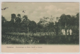 Kamerun, 1908, Mi.- Nr.: 21 als EF auf Bilpostkarte (Ananasplantage im Botan Garten), gelaufen von Victoria nach Roda