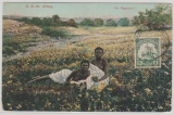 DSWA, 1911, Mi.- Nr.: 25, als EF auf Bildpostkarte (DSWA, Zur Regenzeit), von Kalkfontein (Süd) nach Dresden