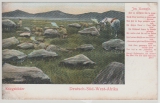 DSWA, 1910, Mi.- Nr.: 24, als EF auf Drucksachen- Bildpostkarte von Johann- Albrechtshöhe nach Rochlitz