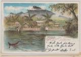 Kamerun / DR, 1900, DR Mi.- Nr.: 46, als EF auf Bildpostkarte (Faktorei am Kilimandscharo) von Berlin nach Leipzig
