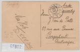 Danzig, 1923, Mi.- Nrn.: 130, + 141- 42 in MiF (bildseitig) auf Bild- Auslandspostkarte von Danzig nach Borgenhout (B)