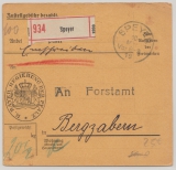 Bayern, 1919, Mi.- Nrn.: D 19, D 23 + D 24 rs.  als MiF auf Dienst- Wert- Paketkartenstammteil für 1 Paket von Speyer nach Bergzabern