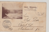 DSWA, ca. 1900, Postkarte (leider Marken entfernt), von Outjo nach Forst, Bildseite, Ansicht: Damara- Rinder