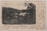 Kamerun, 1900, Mi.- Nr.: 2, als EF auf Bildpostkarte von Viktoria nach Berlin