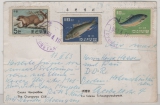 Nord- Korea, 1963, 25 Ch. MiF auf Auslands- Bildpostkarte von Pyongyang nach Berlin (D.)